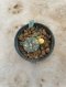 Lophophora Williamsii Variegata 5-6 cm 12 years old seed ownroot flower seedling ロフォフォラ 烏羽玉　仔吹き サボテン