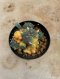 Lophophora Williamsii Variegata 7-8 cm 12 years old seed ownroot flower seedling ロフォフォラ 烏羽玉　仔吹き サボテン