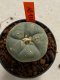 Lophophora williamsii 4-5 cm 7 years old seed ownroot flower seedling ロフォフォラ　烏羽玉　仔吹き　サボテン