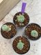 Lophophora Williamsii 4-5 cm 8 years old seed ownroot flower seedling ロフォフォラ　烏羽玉　仔吹き　サボテン