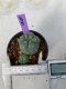 Lophophora Williamsii 5-7 cm 7 years old seed ownroot flower seedling ロフォフォラ　烏羽玉　仔吹き　サボテン