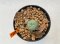 Lophophora Williamsii 3.5-4.5 cm 6 years old ownroot from seed flowering