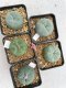 Lophophora Williamsii 3.5-5 cm 7 years old ownroot from seed flowering