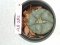 Lophophora williamsii 3-4 cm 4-5 years old - ownroot grow from seed