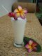 Lassi (Sweet/Salt)