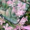 HI-SHIELD Selected ฟิล์มกระจกด้าน SAMSAUNG 2.5D Matte Glass [ฟิล์ม SAMSAUNG S24]