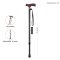 WALKING STICK (OT-104)