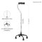 WALKING STICK (OT-500)
