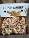FRESH GINGER
