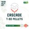 ฮอปทำเบียร์ Cascade
