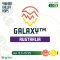 ฮอปทำเบียร์ Galaxy 2 oz