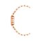 Anne Klein AK/4144RGST นาฬิกาข้อมือผู้หญิง Rose Gold