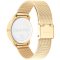 Calvin Klein CK25200034