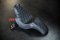 0802_1433_SC81829DB_FXLR_FXLRS_FXLRST_Sport_Glide_FLSB_Pro_Series_SDC_Performance_Gripper_Seat_SADDLEMEN_HARLEY_SOFTAIL เบาะแต่งรถฮาเล่ย์มีพิงหลัง