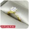 The big flower cluster diamond ring