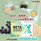 BETA X + (เบต้าเอ็กซ์ พลัส) betax บำรุงปอด1 กล่อง 10 เม็ด