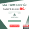 Lab farm แล็บฟาร์ม อาหารเสริม Xเซลล์เกิน เซลล์ร้าย 1 กล่อง 10 เม็ด