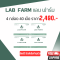 Lab farm แล็บฟาร์ม อาหารเสริม Xเซลล์เกิน เซลล์ร้าย 1 กล่อง 10 เม็ด