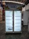 The Cool ตู้แช่เย็นสองประตู ALEX 2P Jumbo Premium M