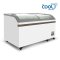 ตู้แช่แข็งสำหรับซุปเปอร์มาเก็ต NATALIE 150 LED