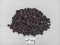 Nut Grass