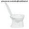 Blue diamond, Hand flush toilet, model FH 3140 (normal lid)