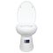 Blue diamond, Hand flush toilet, model FH3152 (soft close lid)