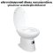 Blue diamond, Hand flush toilet, model FH3152 (soft close lid)