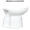 Blue diamond, Hand flush toilet, model FH3152 (soft close lid)