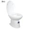 Blue diamond, Hand flush toilet, model FH3152 (soft close lid)