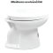 Blue diamond, Hand flush toilet, model FH3153 (soft close lid)