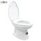 Blue diamond, Hand flush toilet, model FH3153 (soft close lid)