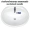 Blue diamond, round wall hung washbasin, model FH4833