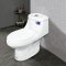 Blue diamond one piece Sanitary Ware model FH1711 dual system(press top)