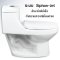 Blue diamond one piece Sanitary Ware model FH1711 dual system(press top)