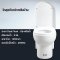 Blue diamond one piece Sanitary Ware model FH1713 dual system(press top)