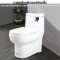 Blue diamond one piece Sanitary Ware model FH1713 dual system(press top)