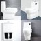 Blue diamond one piece Sanitary Ware model FH1713 dual system(press top)