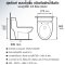 Blue diamond one piece Sanitary Ware model FH1713 dual system(press top)