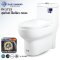 Blue diamond one piece Sanitary Ware model FH1713 dual system(press top)
