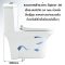 Blue diamond one piece Sanitary Ware model FH1714 dual system(press top)
