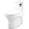 Blue diamond one piece Sanitary Ware model FH1714 dual system(press top)