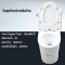 Blue diamond one piece Sanitary Ware model FH1822 single flush (press on side)