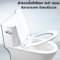 Blue diamond one piece Sanitary Ware model FH1822 single flush (press on side)