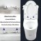 Blue diamond one piece Sanitary Ware model FH1822 single flush (press on side)