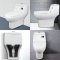 Blue diamond one piece Sanitary Ware model FH1860 dual system(press top)