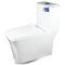 Blue diamond one piece Sanitary Ware model FH1861 dual system (press top)