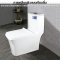 Blue diamond one piece Sanitary Ware model FH1861 dual system (press top)