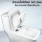 Blue diamond one piece Sanitary Ware model FH1861 dual system (press top)