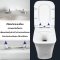 Blue diamond one piece Sanitary Ware model FH1861 dual system (press top)